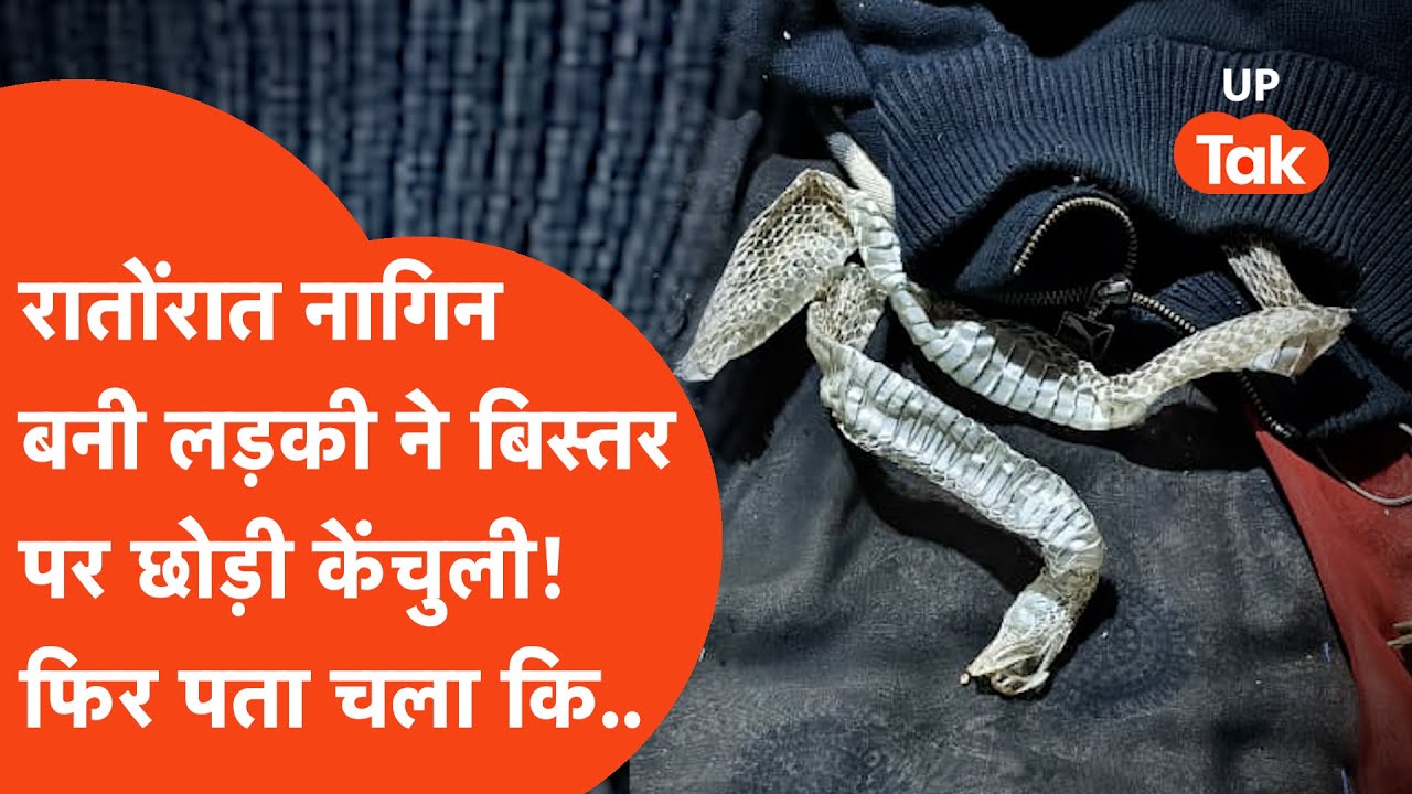 Auraiya में रातों रात नागिन बन गई लड़की? बिस्तर पर पड़ी मिली 5 फीट की केंचुली फिर जाकर पता चला कि..
