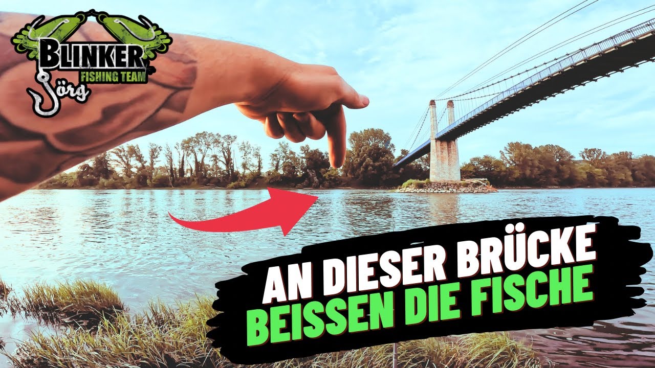 An DIESER BRÜCKE beissen die WELSE
