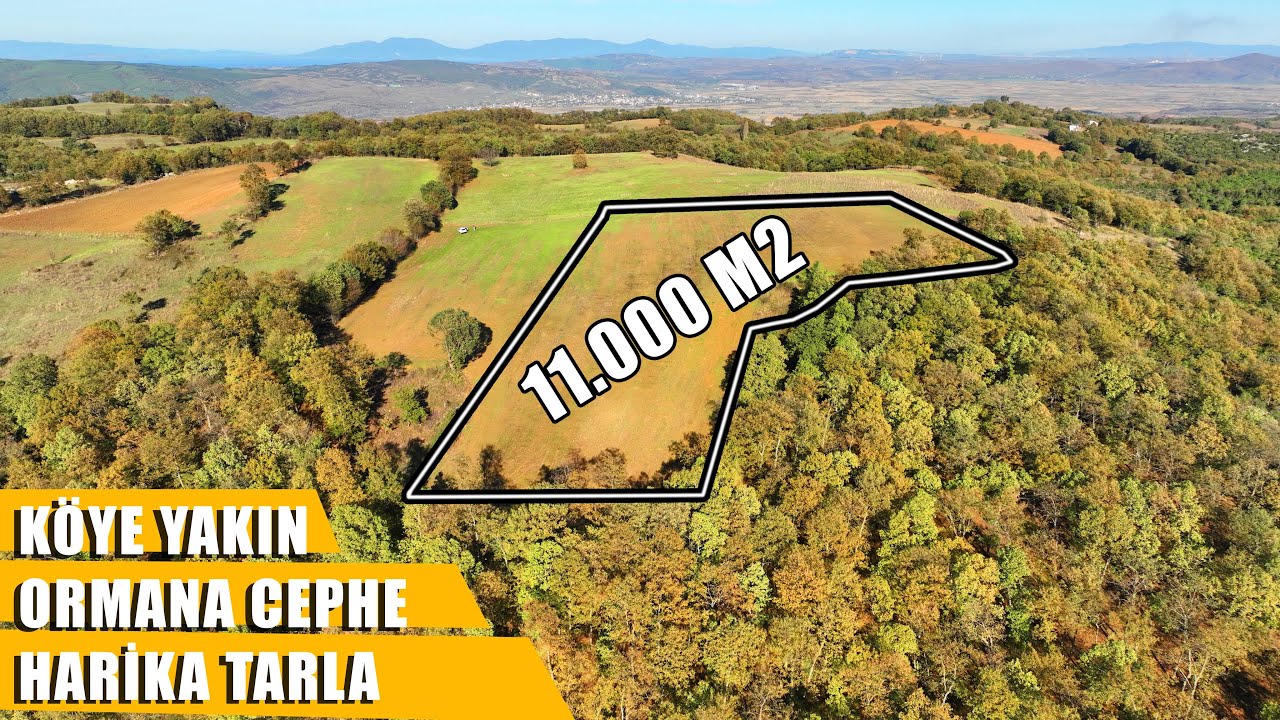 1400- SATILDI! Gönen'de Ormana Cephe 11.000 m2 Harika Tarla