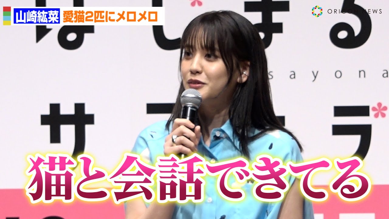 山崎紘菜、愛猫2匹にメロメロ「会話できている」　内容は食事の要求と冷房の強さ　U-NEXT制作ドラマ『賭けからはじまるサヨナラの恋』