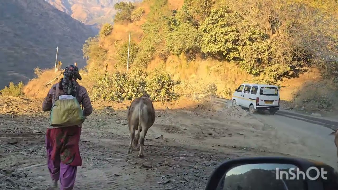 Travelling to Kedarkantha summit#kedarkantha#uttarakhand