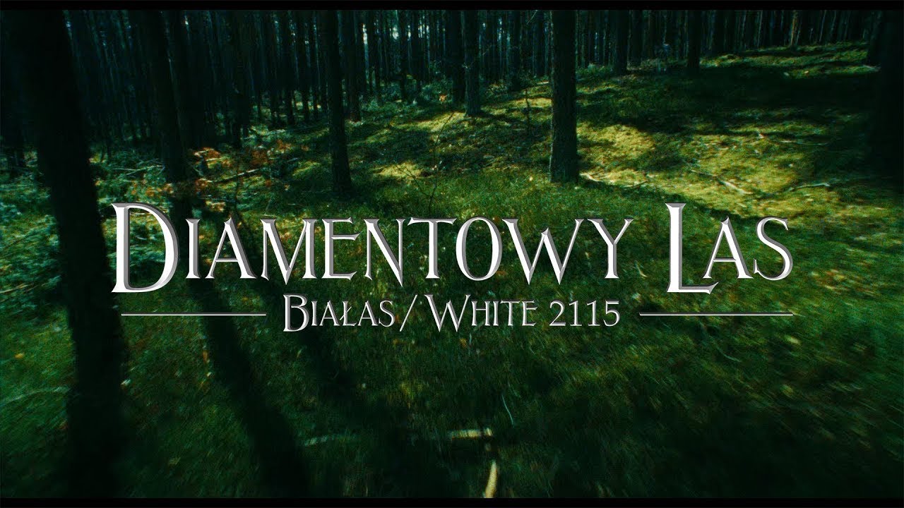 Białas & White 2115 - Diamentowy Las