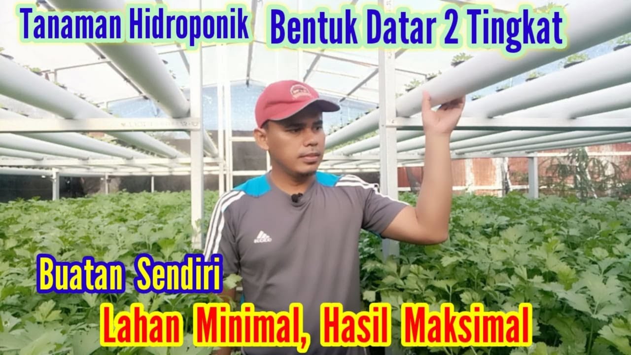 REVIEW TANAMAN HIDROPONIK SISTEM DFT BENTUK DATAR 2 TINGKAT, LAHAN MINIMAL HASIL MAKSIMAL