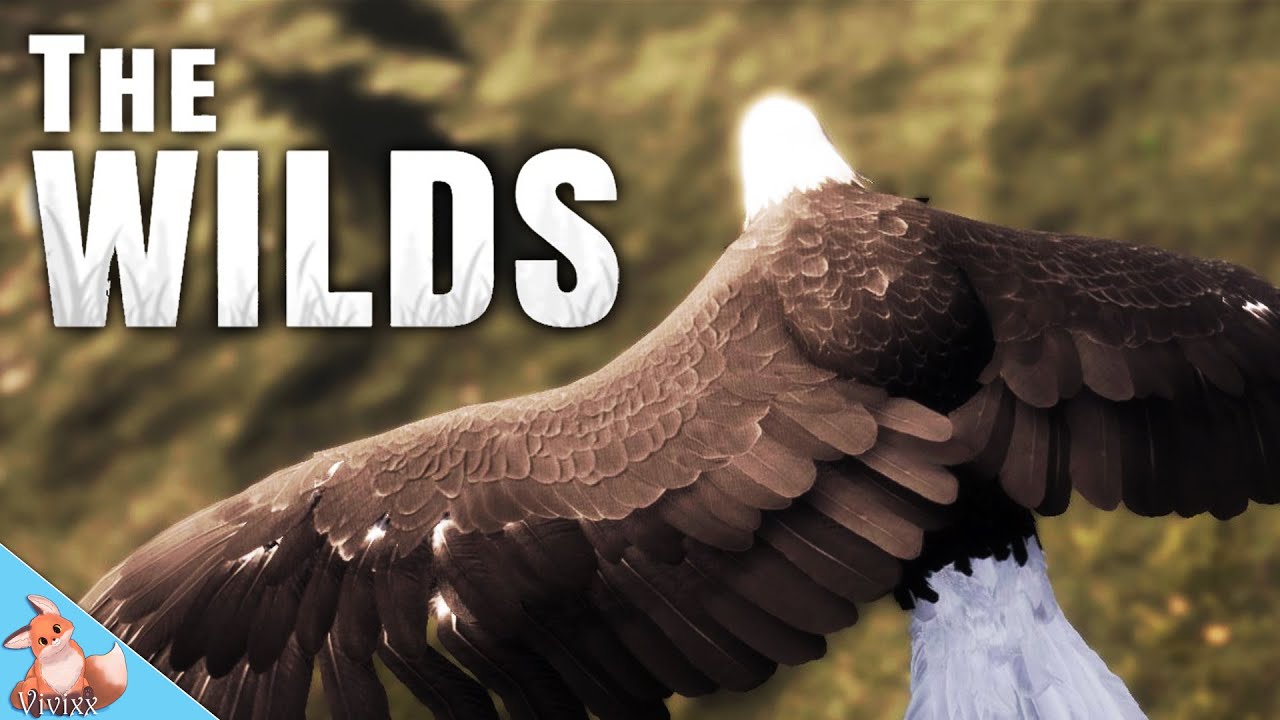 The EAGLE has landed in The Wilds and it is amazing!