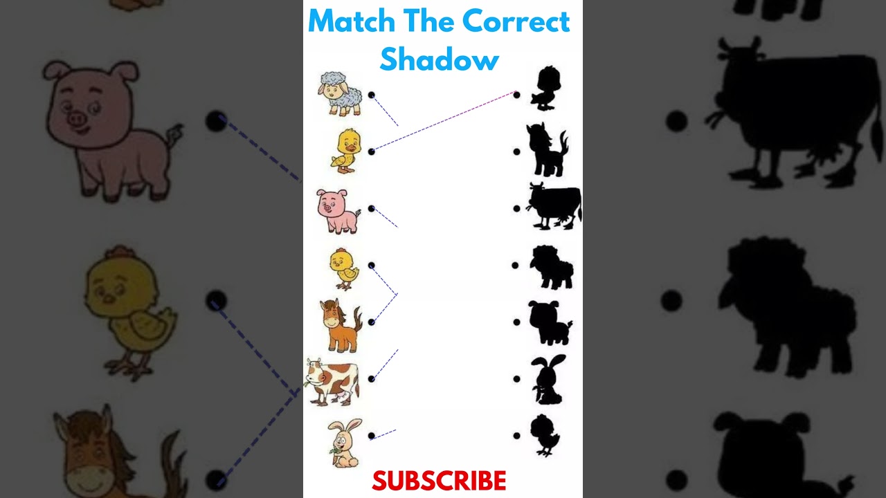 Animal Shadow Match Challenge: Can You Identify the Correct Shadows? #find #guess #riddle#shorts