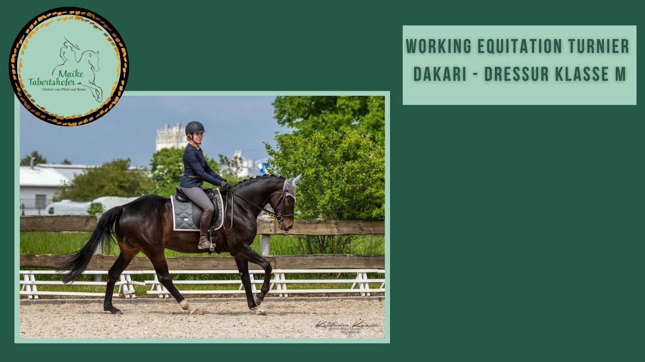 Working Equitation Turnier - Dressur Klasse M mit Dakari