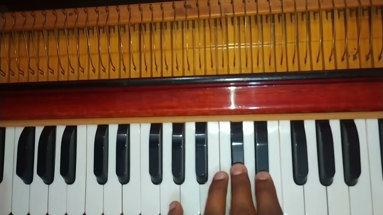 New Composition | Harmonium