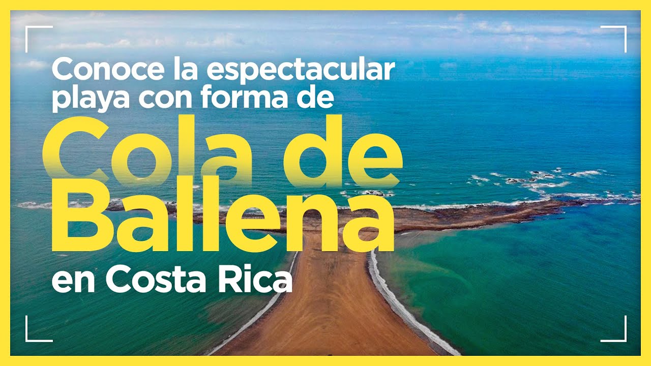 Conoce la espectacular playa con forma de Cola de Ballena en Costa Rica
