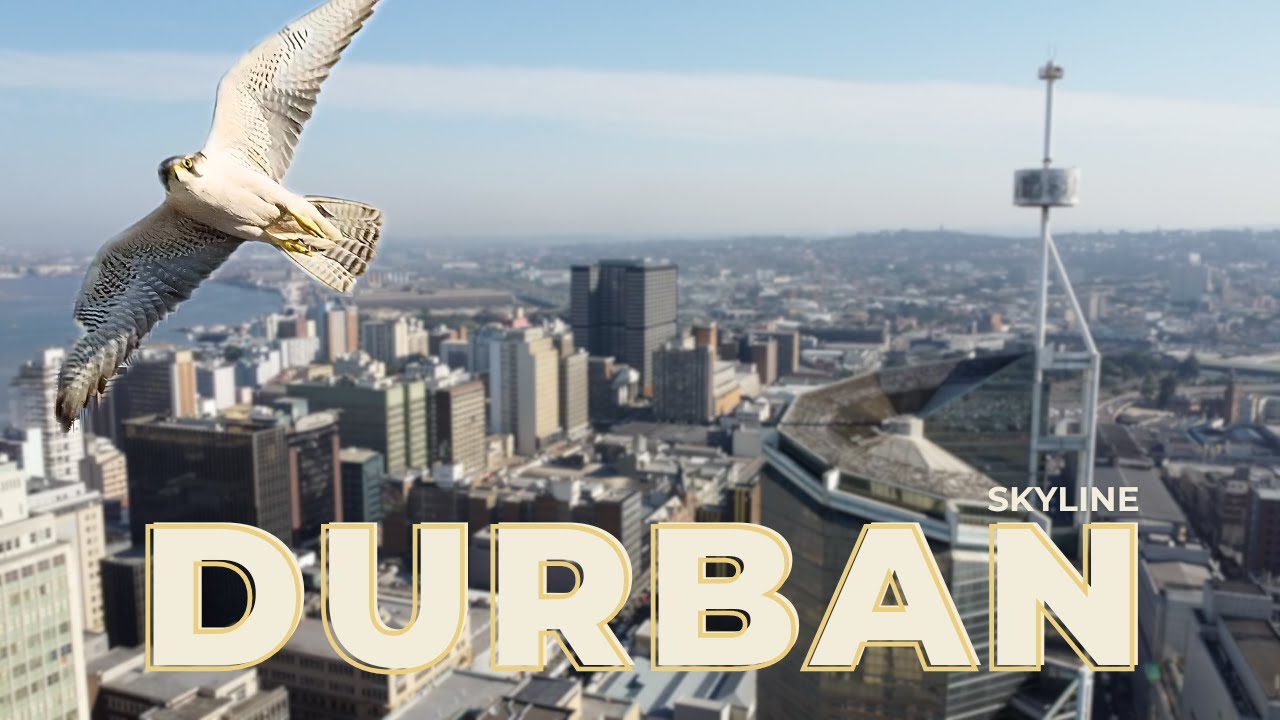 DURBAN Skyline
