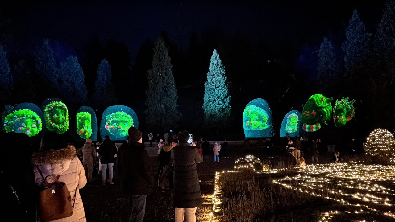 La diretta dell'accensione delle luci di Natale ai Giardini Estensi di Varese.