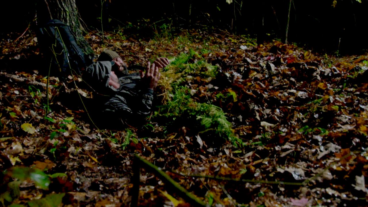 A Five Star Hotel for Bears | Dual Survival