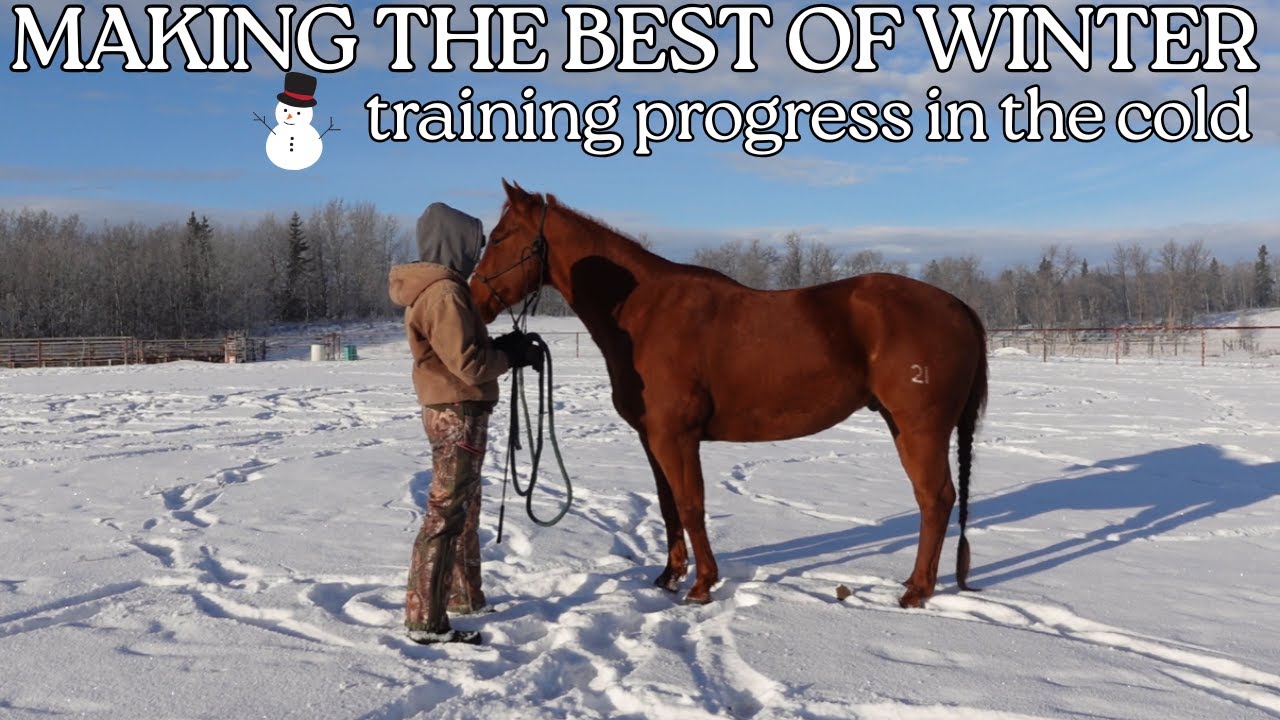 What I Do With My Horses in the Winter (Cold, Frozen Ground, Short Days)