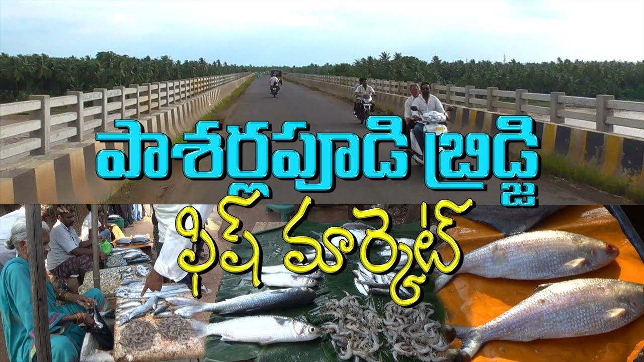 Pasarlapudi Bridge - Bodasakurru Fish Market Konaseema - East Godavari
