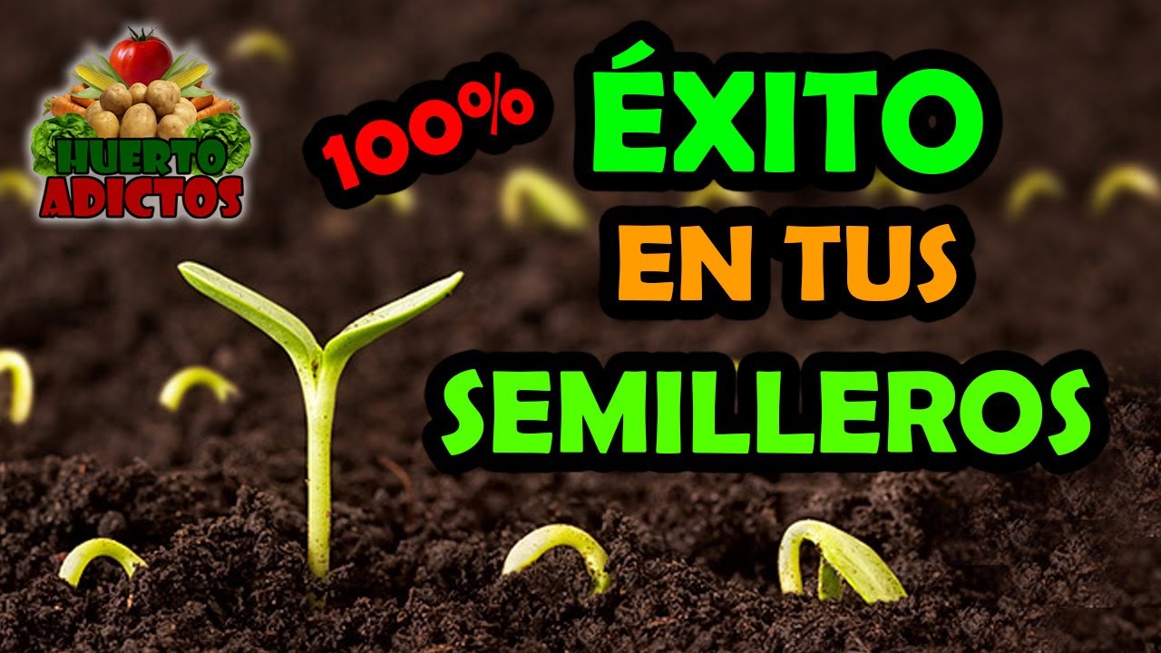 5 Trucos F&Aacute;CILES para Tus Semilleros 🌱 Consejos r&aacute;pidos para Sembrar | Huerto Adictos 🍅