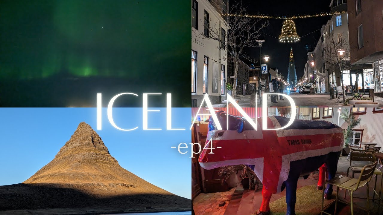 【アイスランド旅行Vlog -ep4- 】/ オーロラが見れた日