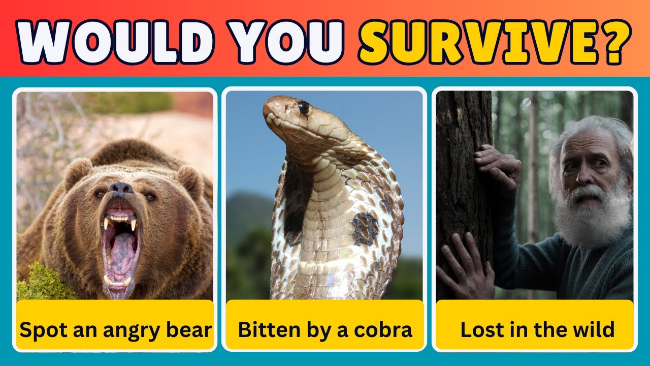 Lost in the Wild? Test Your Survival Skills Now! | Survival Quiz Part 1 | That's EZ