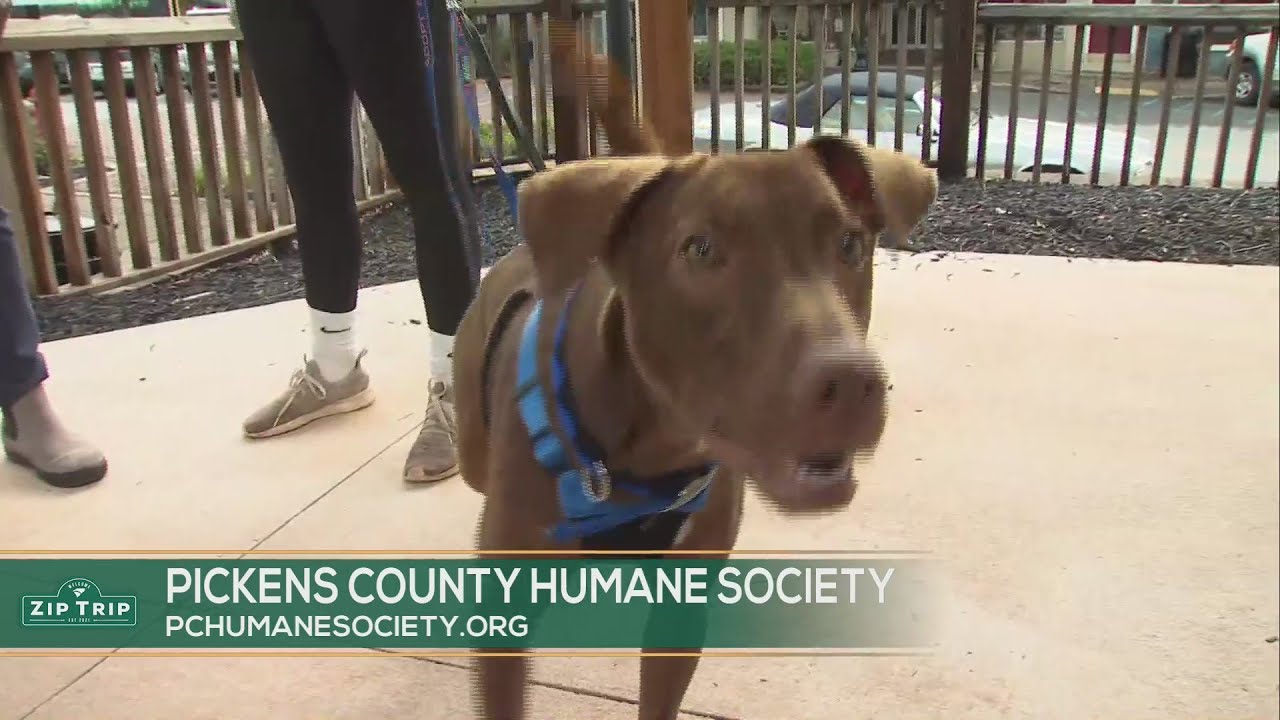 Zip Trip - Pickens County Humane Society