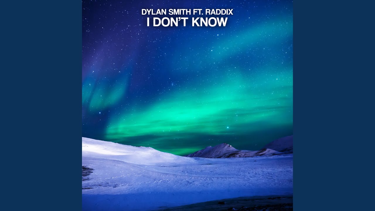 I Don't Know (feat. Raddix)