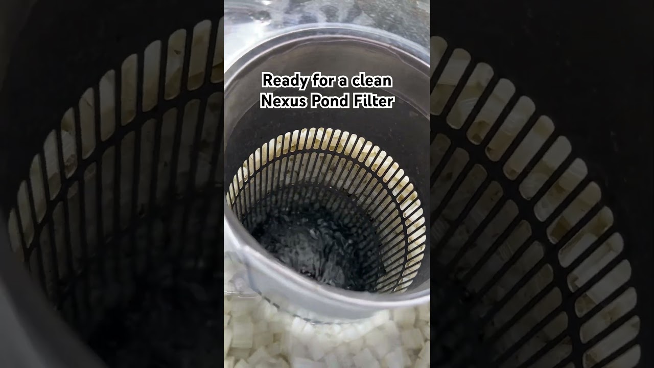 Nexus 320+ Auto in Action &ndash; Pond Life Made Easy! 🔁🐟