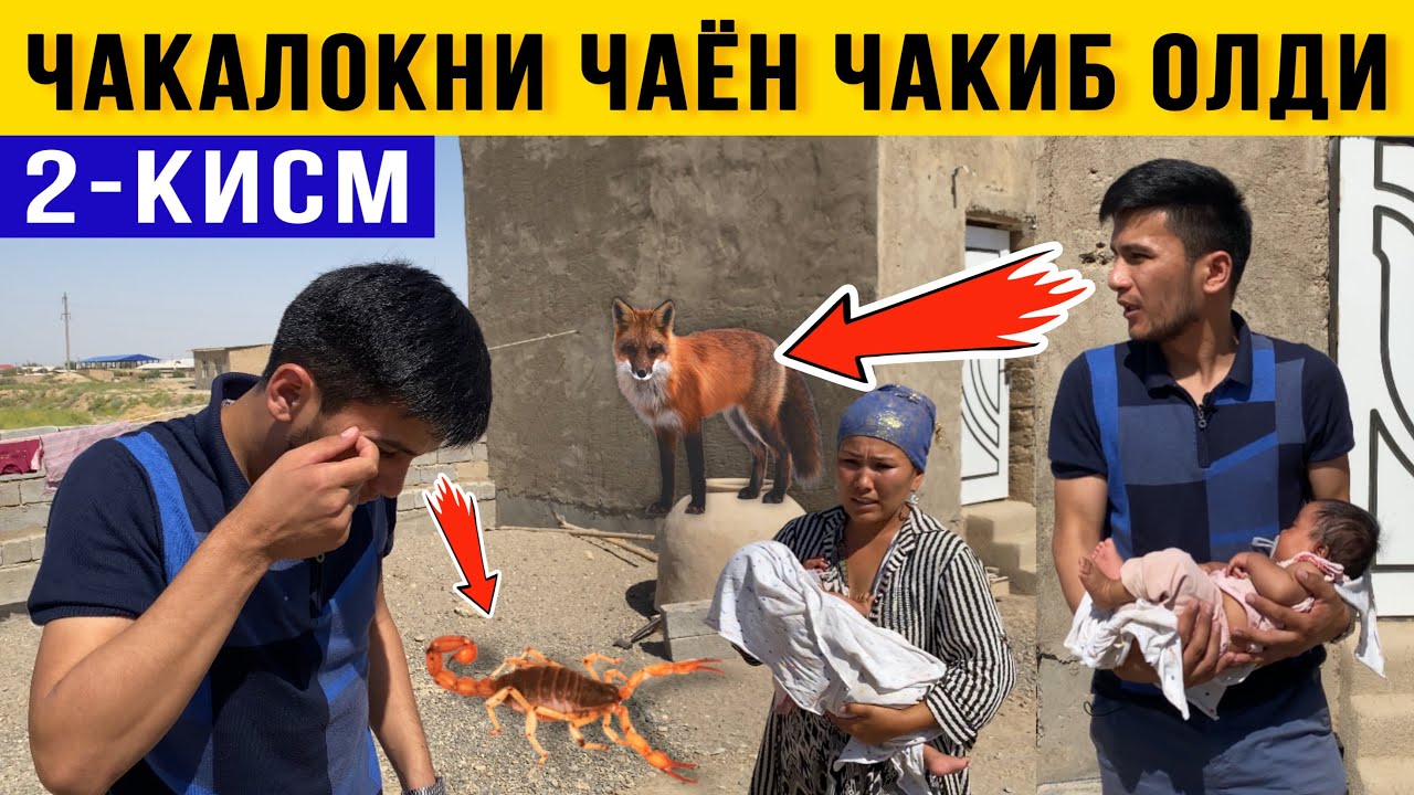 Чаёнлар билан яшайдиган Келинчак 2-Қисм. Чақалоқни чаён чақди 😱