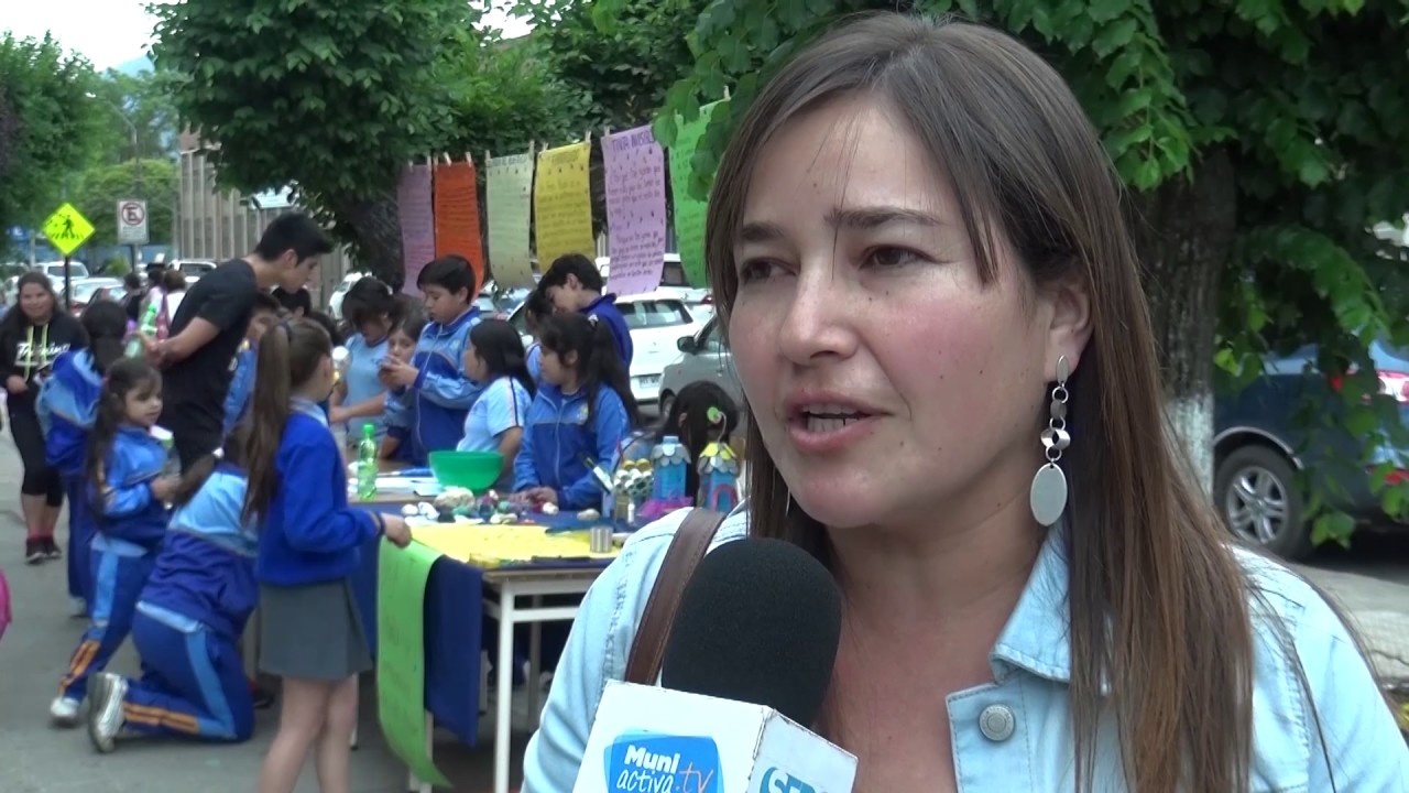Muestra Talleres Colegio Valle de Colchagua de San Fernando