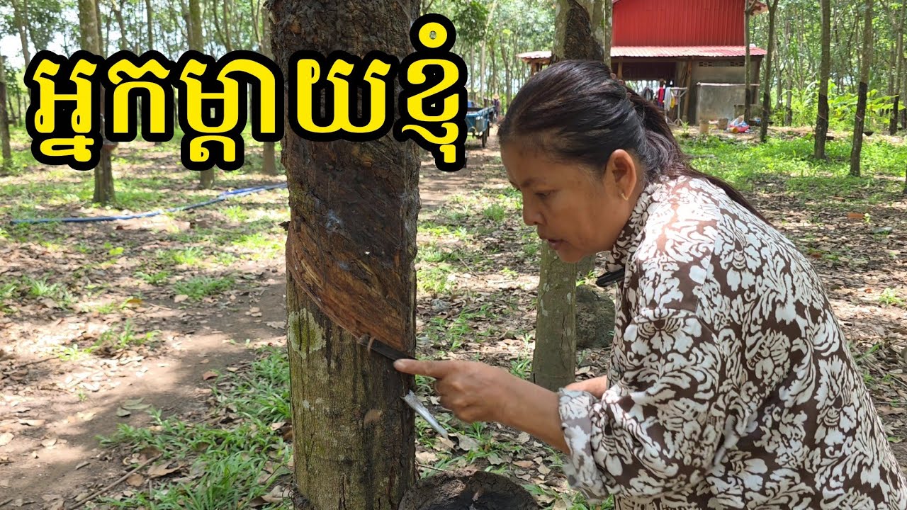 196.ផ្ទះម្ដាយខ្ញុំ Life in the Cambodian Countryside.
