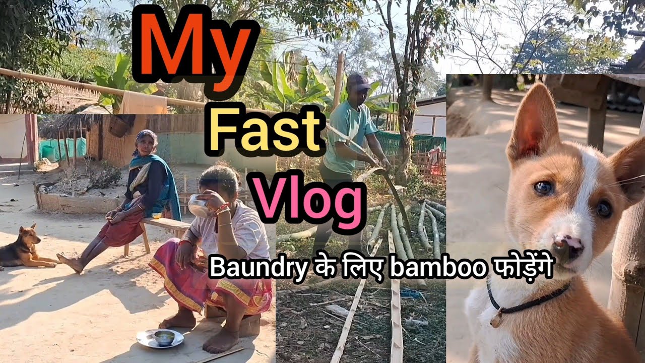 Bamboo फाड़ने का काम चल रहा है//#village ##daily #viral #vlog #vloger ##paharpur. 