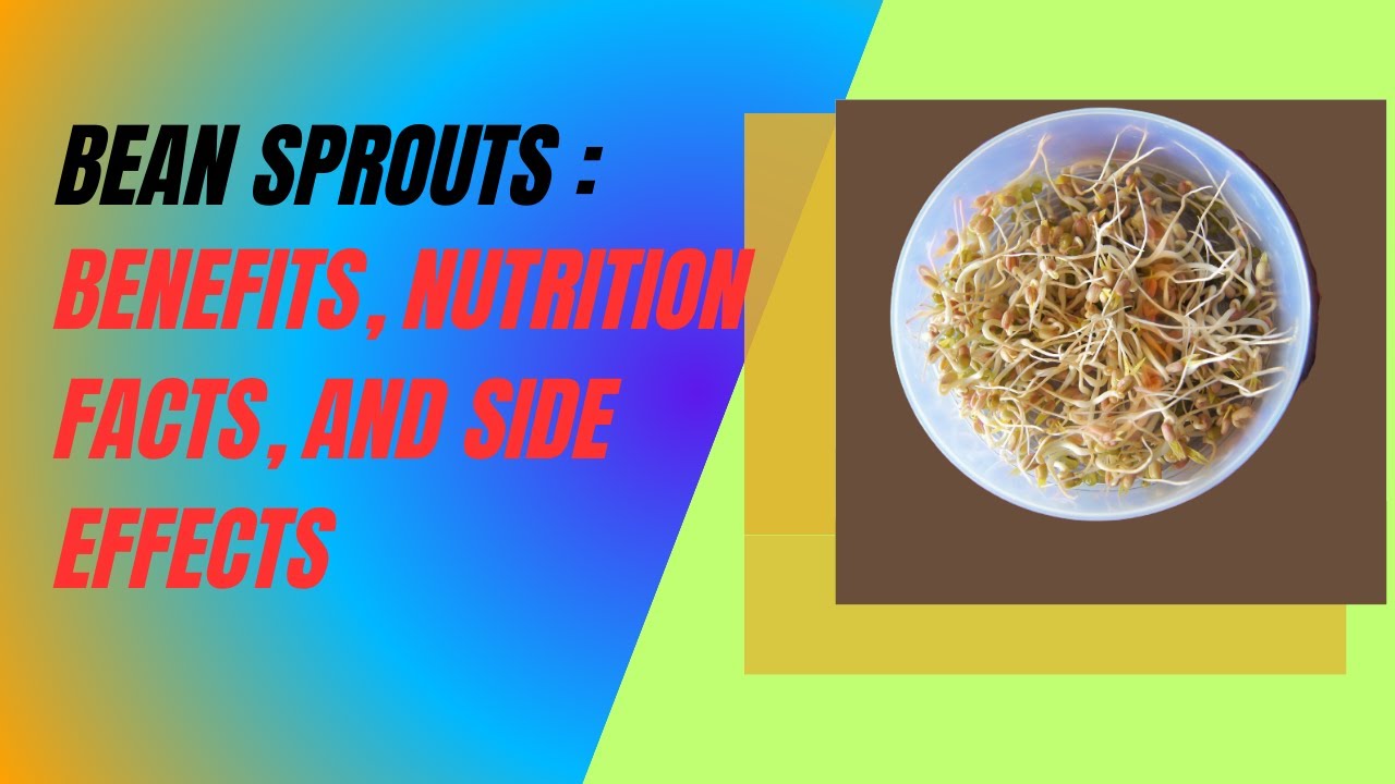Bean Sprouts: Benefits, Nutrition Facts, and Side Effects