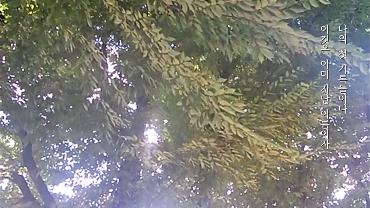 브이로그_2 (산요 작티 ca65)