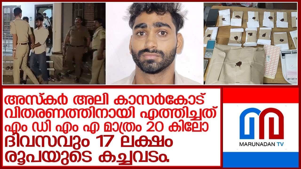 ഒരേ വിദ്യാലയത്തിലെ നൂറുകണക്കിന് വിദ്യാർത്ഥികൾ ലഹരി ഗുളികകൾ അടിമ  l Kasaragod