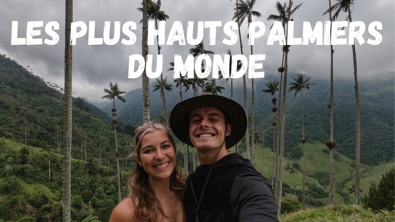 Randonnée dans la vallée de Cocora en Colombie 🌴