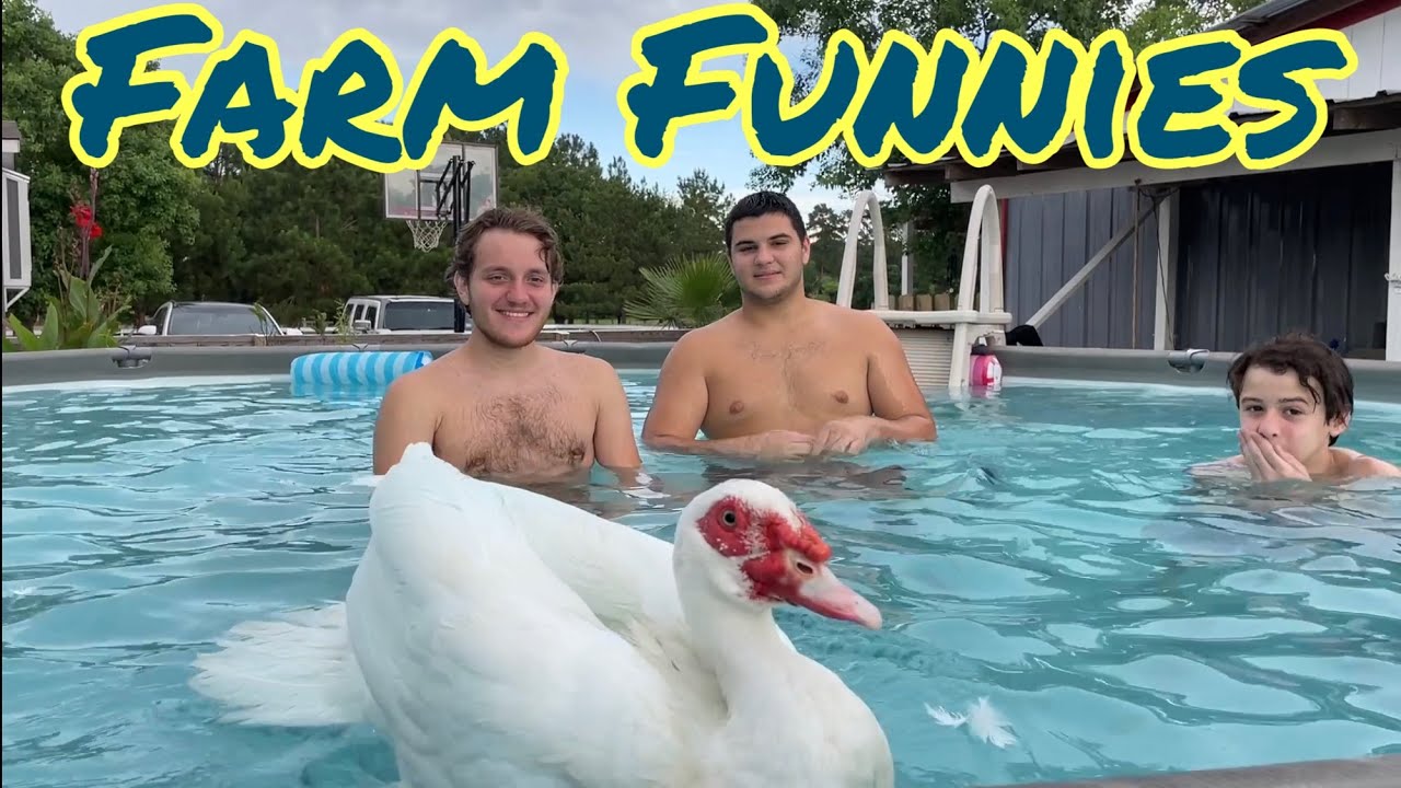 Farm Funnies - Summer 2021