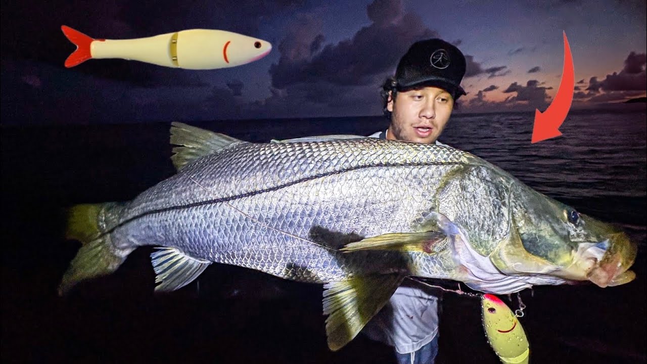 The Best Glide Bait for MONSTER SNOOK?