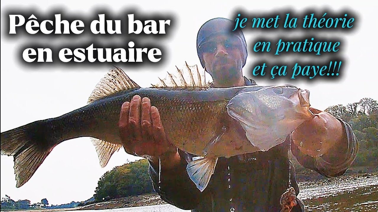 P&ecirc;che du bar en estuaire - Apr&egrave;s la th&eacute;orie, la pratique et &ccedil;a paye !!!