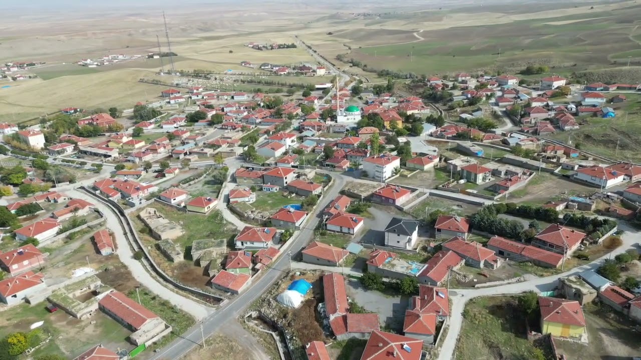 Büyük beşkavak 20.10.2022