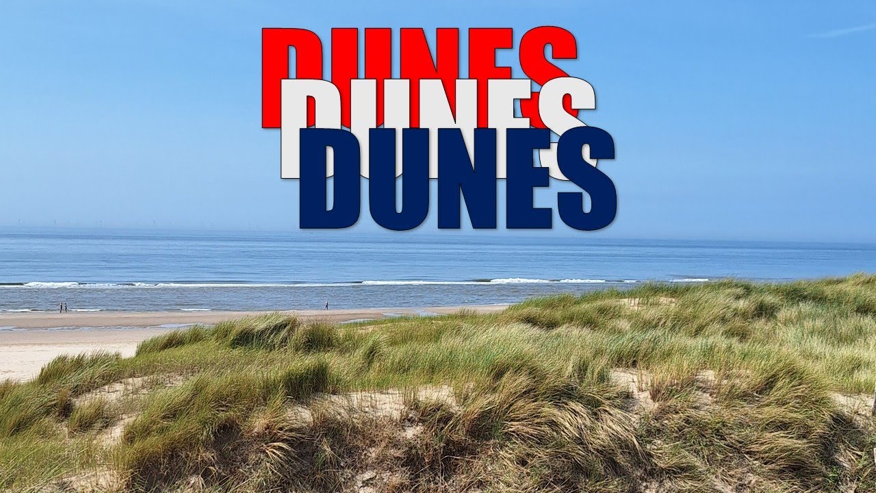 The Hidden Ecosystem Behind Dutch Dunes (Nature Nobody Talks About)