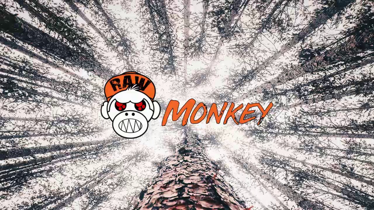 Hostylez - When Lights Go Out (MELODIC RAW) [MONKEY TEMPO]