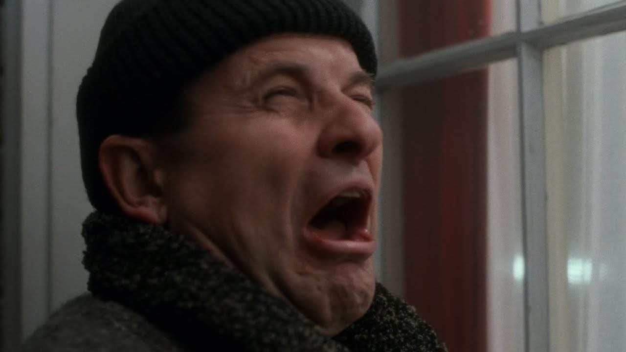 Home Alone 1 and 2 but it's just Harry and Marv being bullied