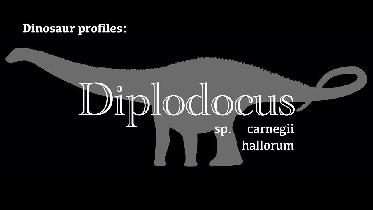 Dinosaur Profile: Diplodocus
