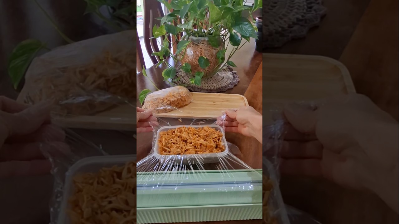 Frango desfiado - como eu congelo porções sem ocupar potes 