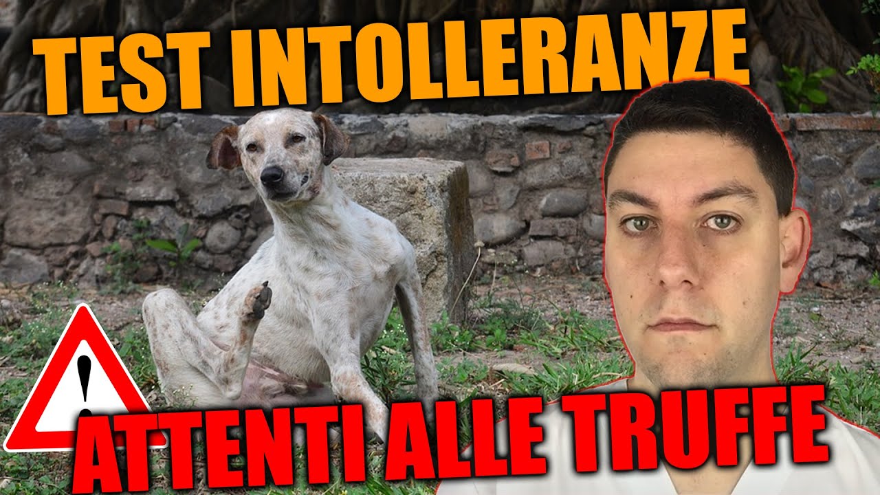 I TEST per le ALLERGIE E INTOLLERANZE del cane e del gatto sono attendibili?