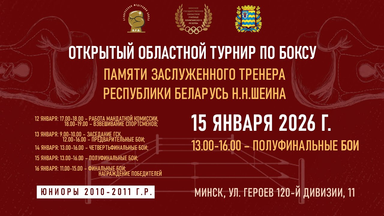 Открытый областной турнир по боксу памяти Н.Н.Шеина (полуфинальные бои) - 2026