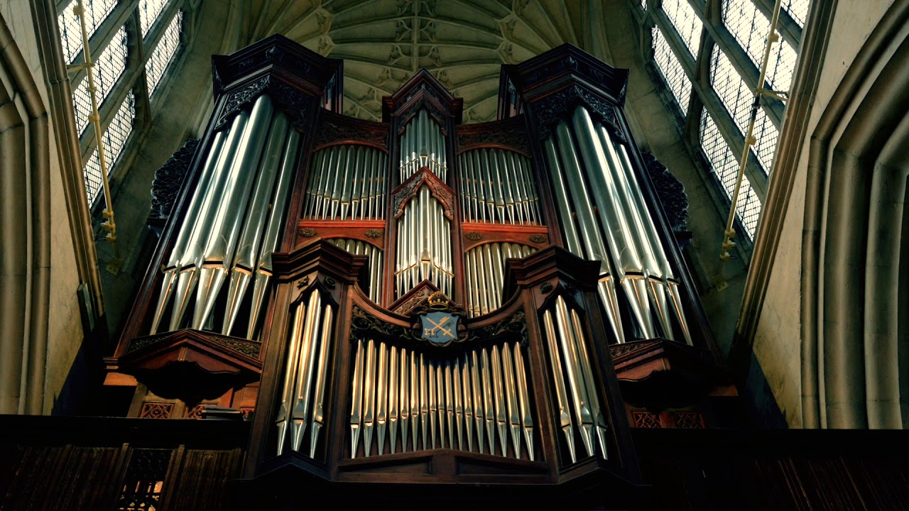 Adagio for Strings, Albinoni - Shean Bowers