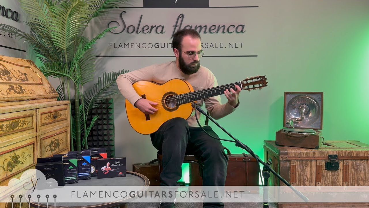 Jer&oacute;nimo P&eacute;rez 2025 flamenco Guitar for sale played by Toni Abell&aacute;n