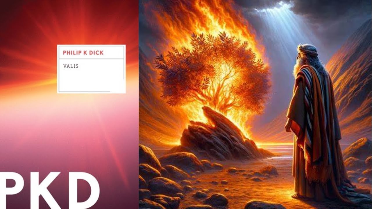 VALIS book review: Are you there, God?  It's me, Phil.