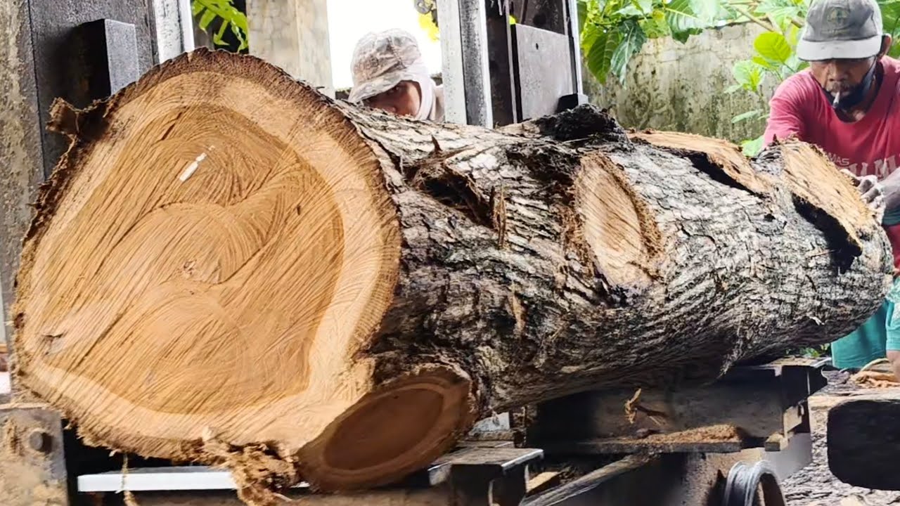 A veteran sawing trees, pushing as hard as he can in challenging conditions