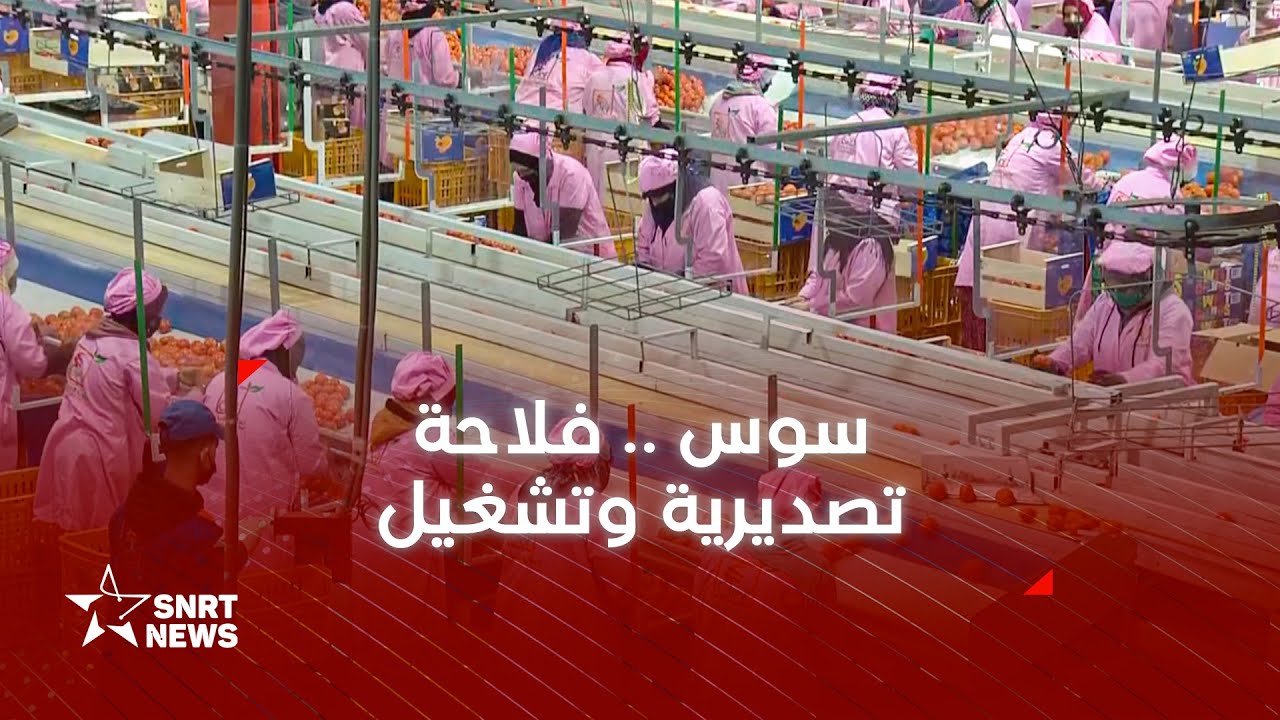 التلفيف عماد التصدير والتشغيل في سوس ماسة