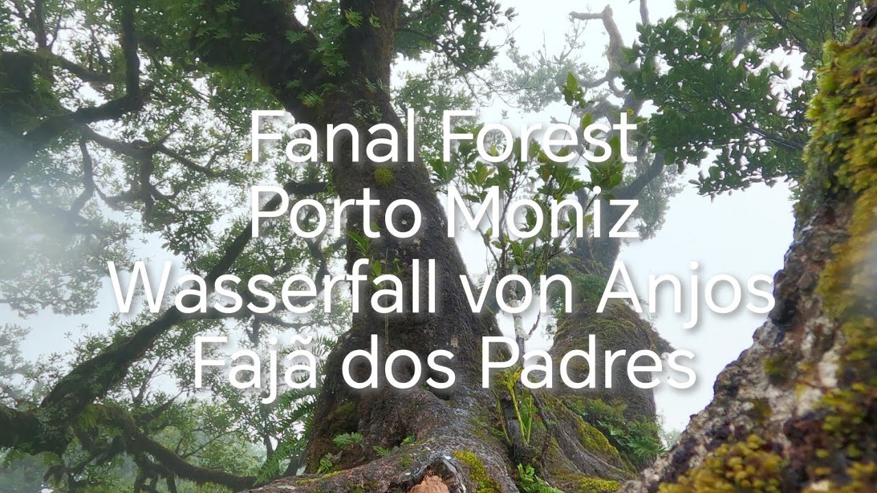 Fanal Forest, Porto Moniz, Wasserfall von Anjos und Fajã dos Padres / Madeira 