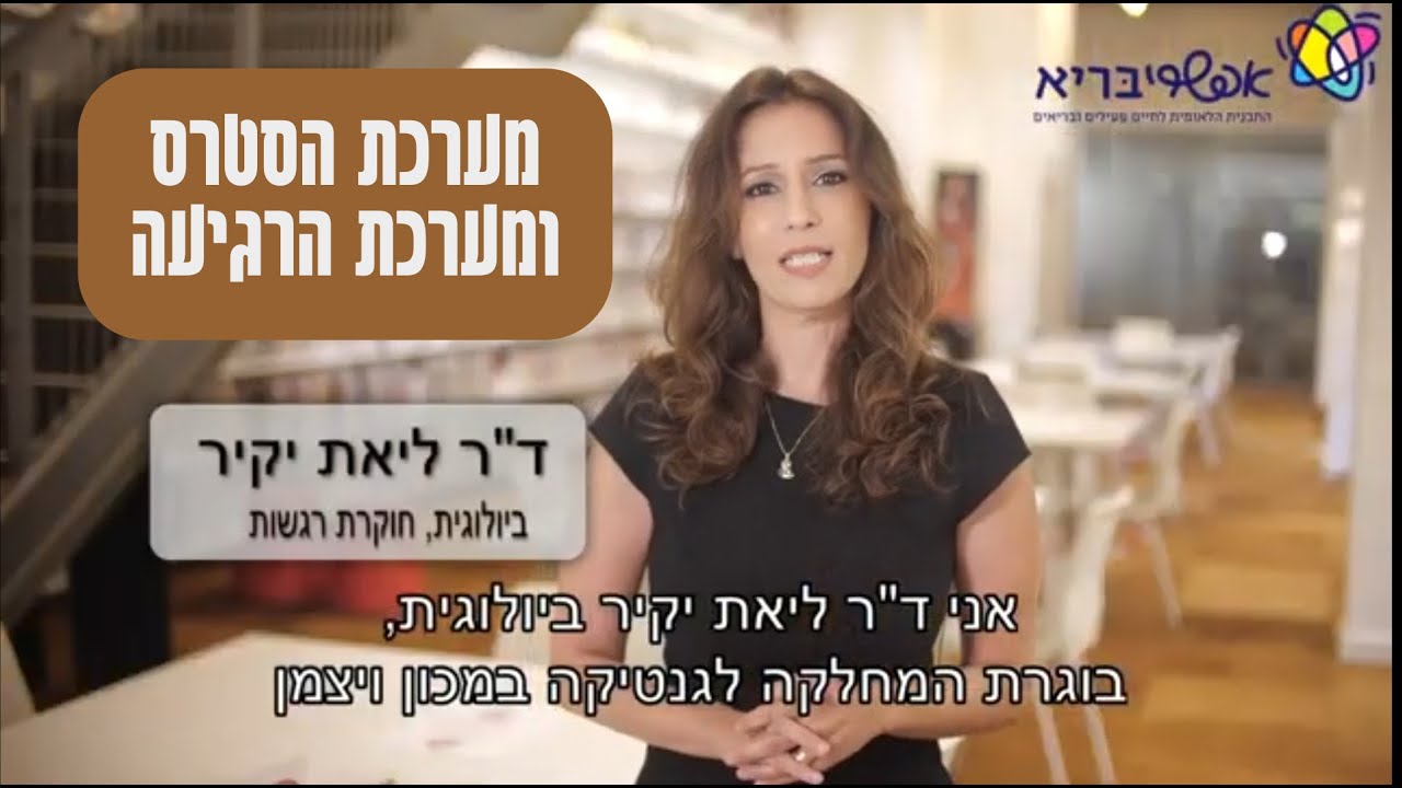 מערכת הסטרס ומערכת הרגיעה - מה קורה לנו בזמן לחץ ? עם ד
