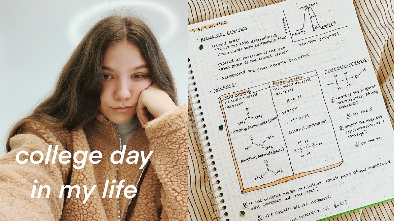 Productive College Days in My Life - Studying, Friends, College Vlog - Michigan State University